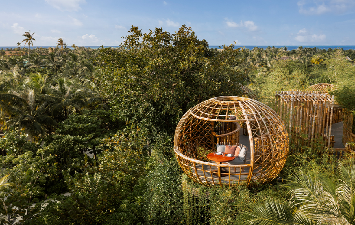 Terra · Treehouse · contemporary